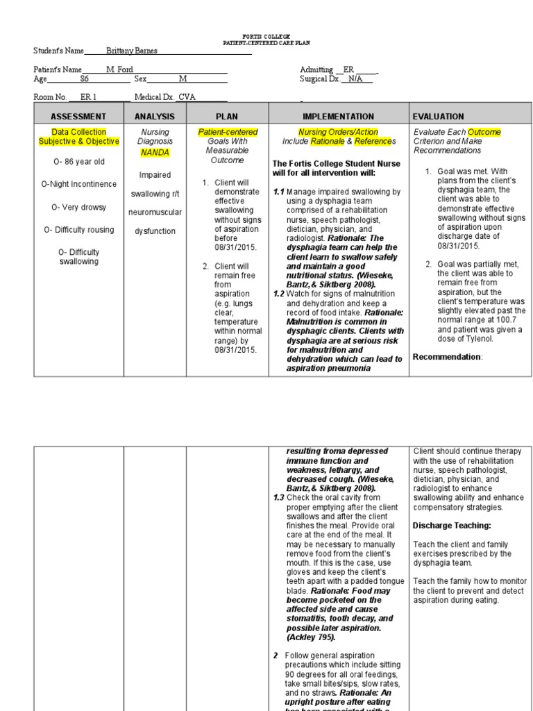 Nursing Care Plan Example DocShare tips