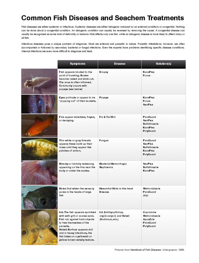 Fish Disease Chart Pictures
